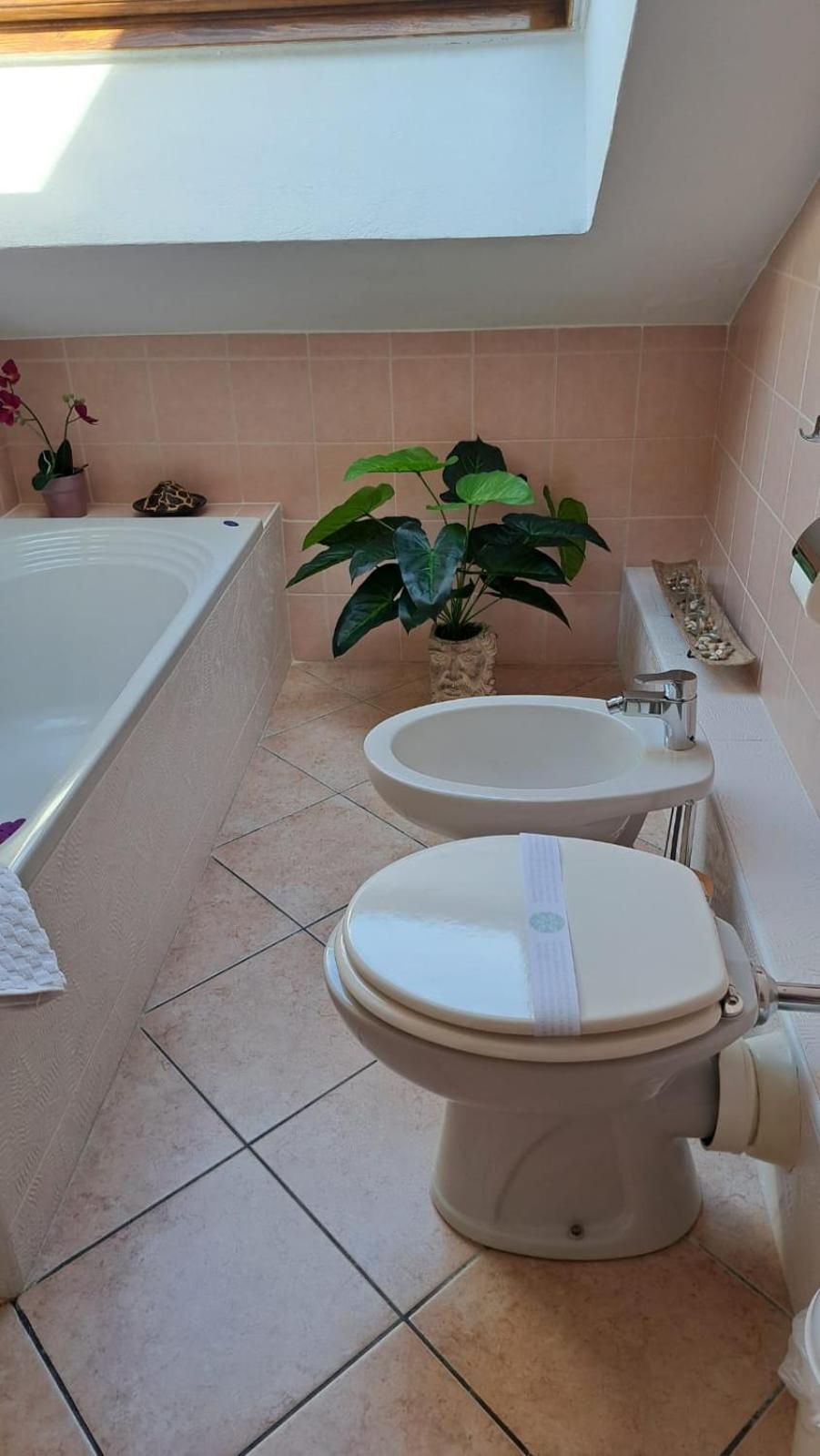 아르코어 Casa Paola - Stazione 400 Mt - Free Wifi 아파트 외부 사진